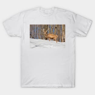 King of the Hill T-Shirt